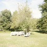 Anemone - Voor 8 Personen *